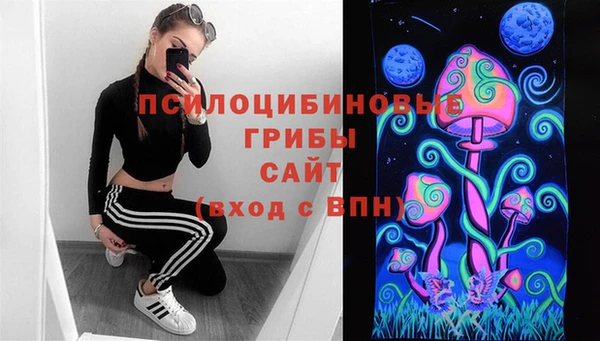 а пвп мука Богданович