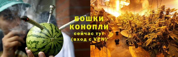 бошки Белокуриха