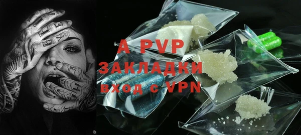 бошки Белокуриха