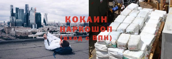 бошки Белокуриха