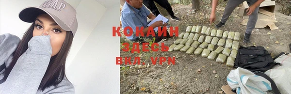 гидра Ельня