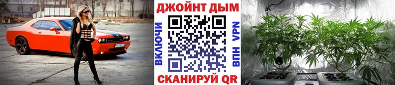 Бошки марихуана Ganja Магас